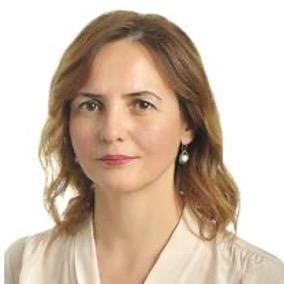 Prof. Dr. Sezgin Güneş